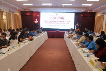 Công đoàn Viên chức Việt Nam tổ chức hội nghị triển khai kế hoạch tổ chức đại hội công đoàn các cấp tiến tới Đại hội VI Công đoàn Viên chức Việt Nam