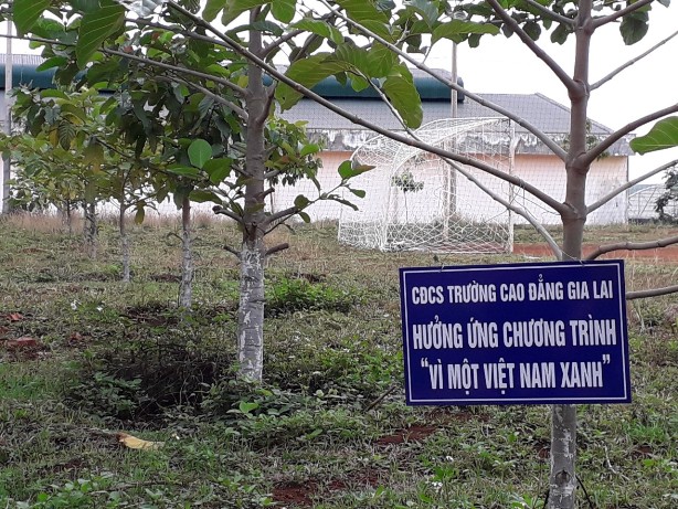 Công đoàn Viên chức Gia Lai hưởng ứng  Chương trình trồng 1 tỷ cây xanh “Vì một Việt Nam xanh”