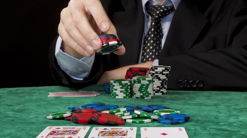 Cá poker là gì? Dấu hiệu nhận biết cá poker