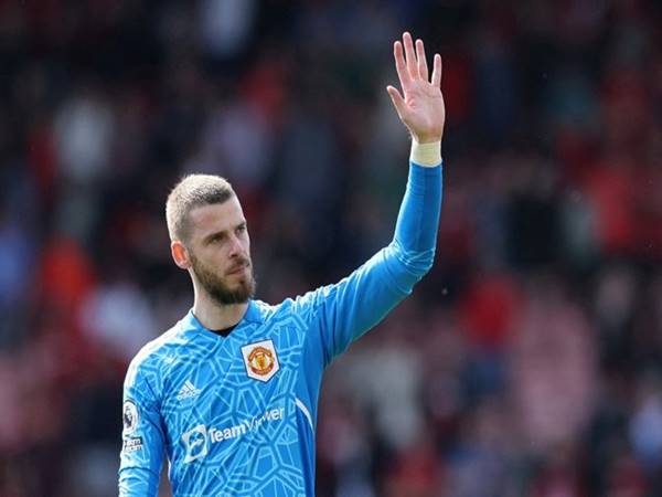 Tiểu sử David de Gea - Thủ thành tài năng của Tây Ban Nha