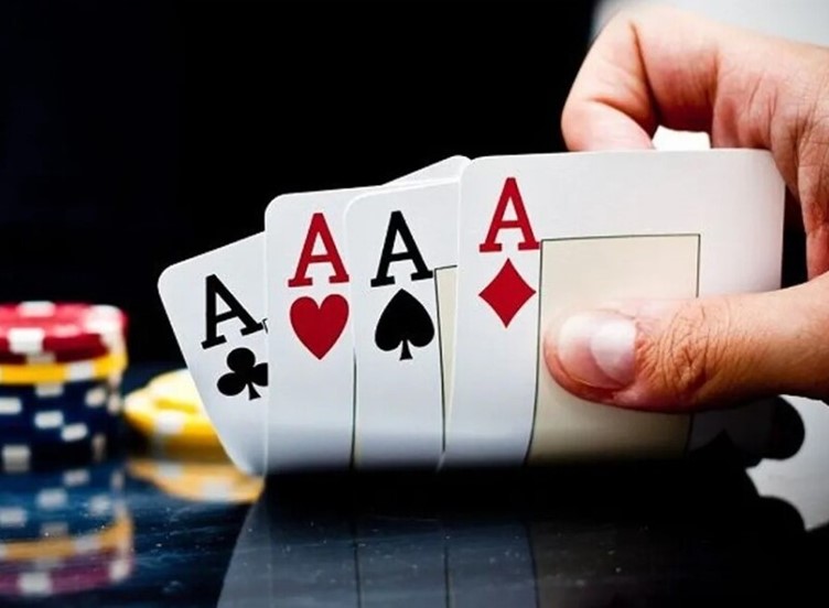 Giải Đáp] Tứ Quý Ăn Được Đôi Heo Không Chi Tiết Từ A - Z