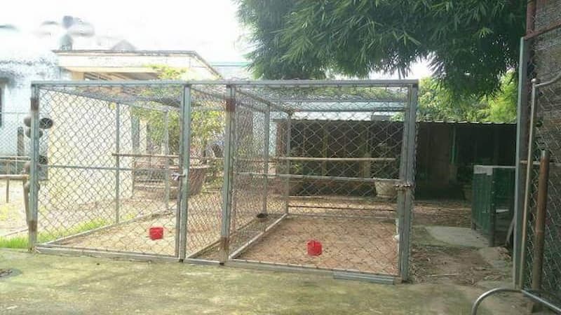 Các bước làm chuồng chạy cho gà đá