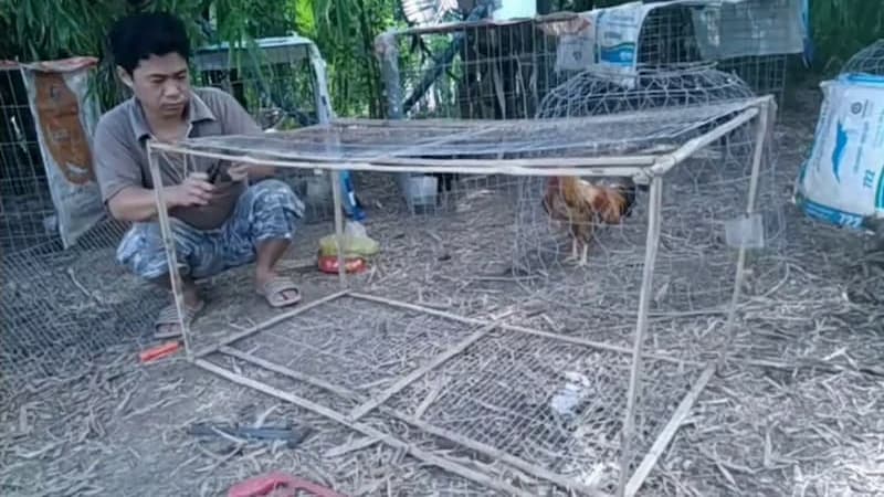 Hướng dẫn cách làm chuồng chạy cho gà đá hiệu quả