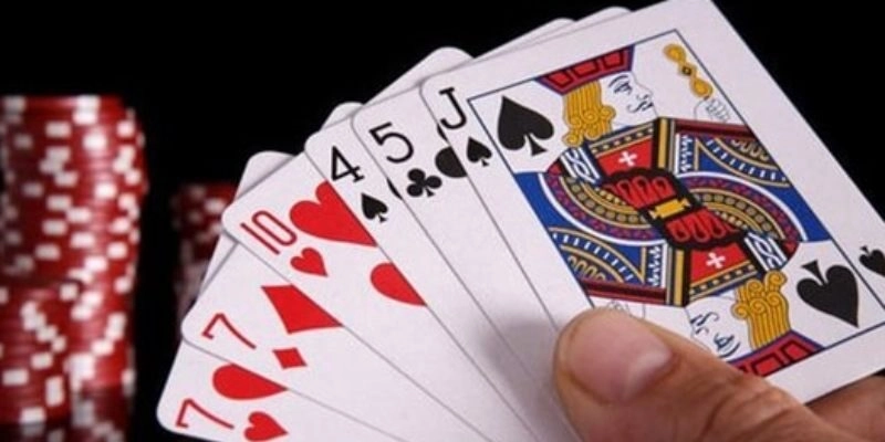 Sâm lốc có sâm nghèo không? Tìm hiểu về sự khác biệt