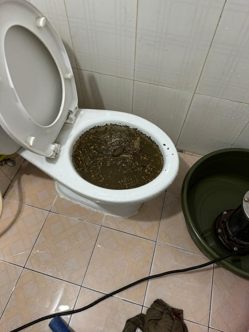 Khí độc từ hầm cầu gây mùi hôi nồng nặc trong nhà