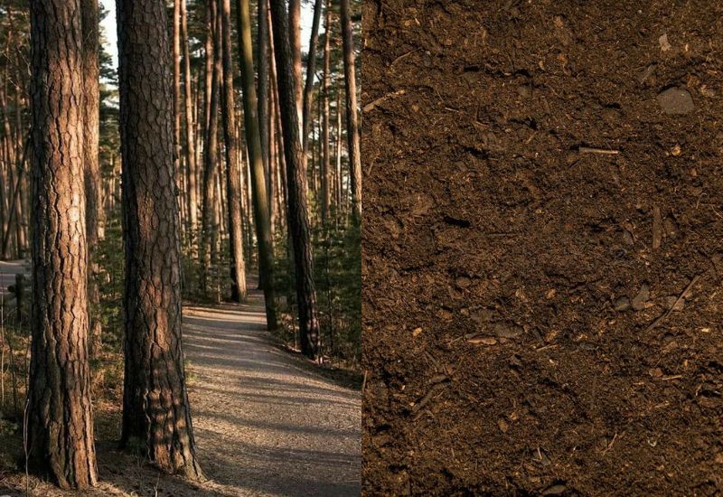 1972 hợp với số nào may mắn