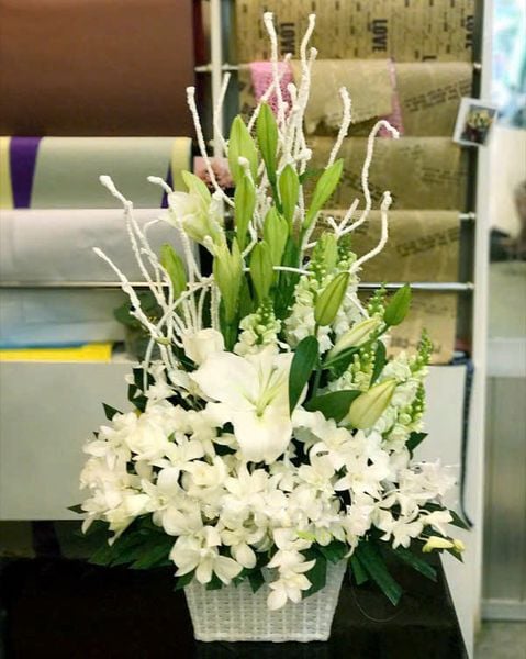 Hoa ly (Lily): Nguồn gốc, ý nghĩa các loại hoa bách hợp và cách trồng đơn giản